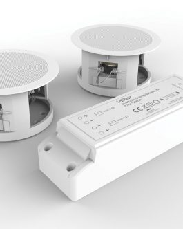 iStar-Bluetooth Ceiling Speaker Kit